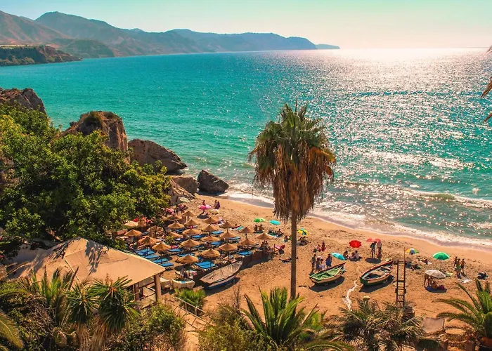 Royal Palm By Interhome