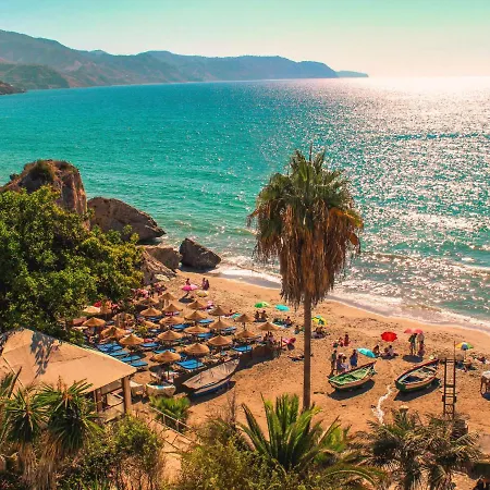 Royal Palm By Interhome