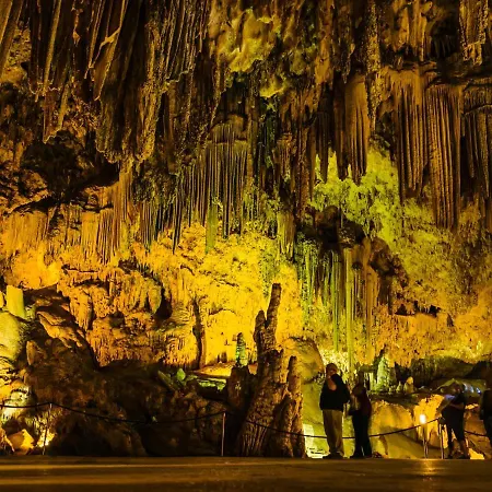 Royal Palm By Interhome * 네르하